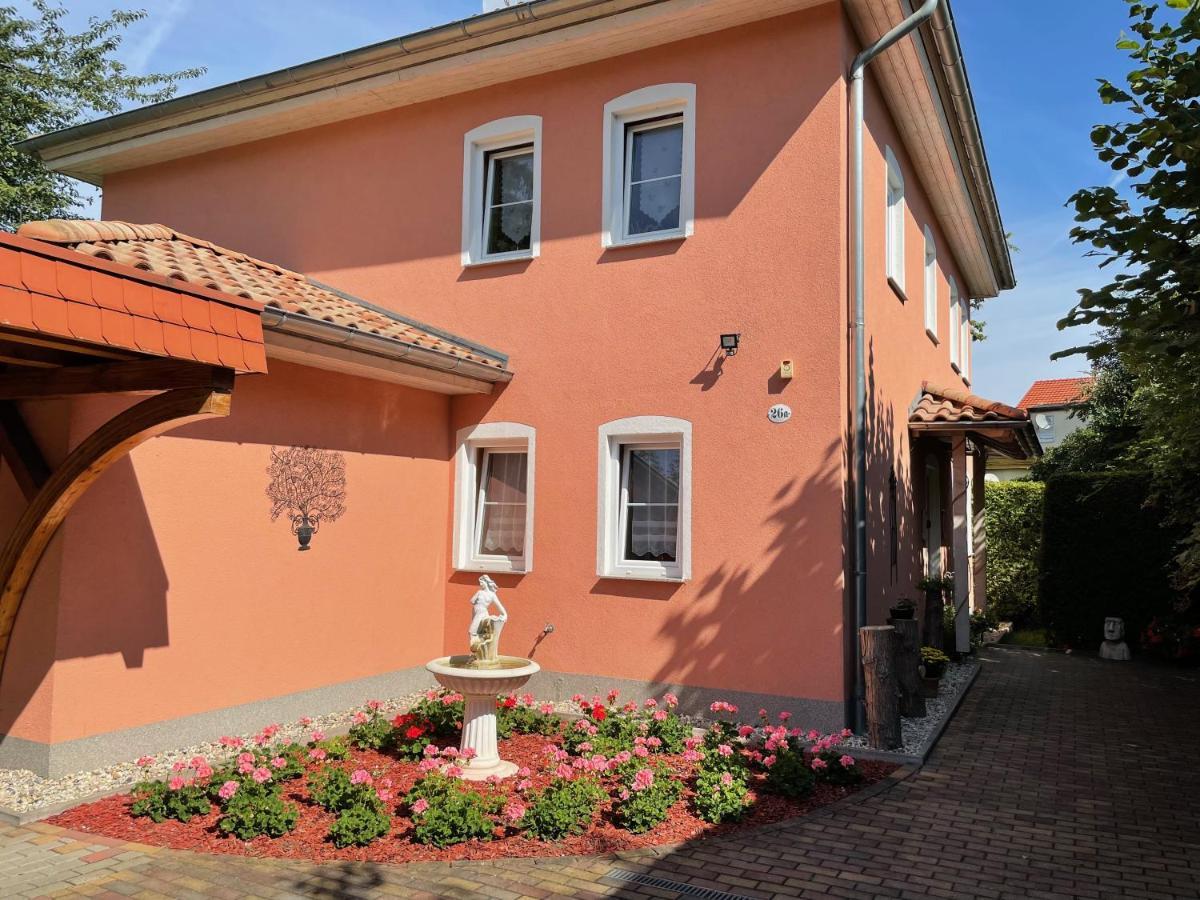 Zentrumsnahe Ferienwohnung ドレスデン エクステリア 写真